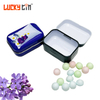 Factory Custom Chewing Gum Tinplate Storage Container Rectangle Metal Box/Can Small Airtight Mint Tin Hinge Lid for Mint