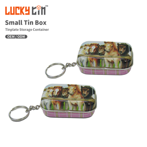 56*38*21mm Custom Luxury Mini Tinplate Case Storage Container Rectangle Metal Can Hinge Small Makeup Keychain Tin Box