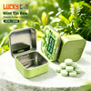 Wholesale Food Grade Small Chewing Gum Tinplate Can Candy Metal Case Hinge Lid High Quality Mint Tin Chocolate Metal Packing Box
