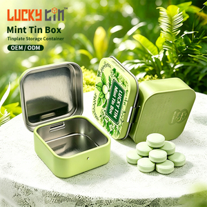 Wholesale Food Grade Small Chewing Gum Tinplate Can Candy Metal Case Hinge Lid High Quality Mint Tin Chocolate Metal Packing Box
