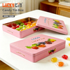 Nice Can Candy Tin Box Manufacturer Custom Fruit Sugar Tinplate Storage Container Rectangle Sweet Metal Case for Candy